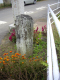 image0012