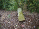 image0017