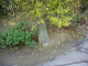 image0017