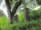 image0012