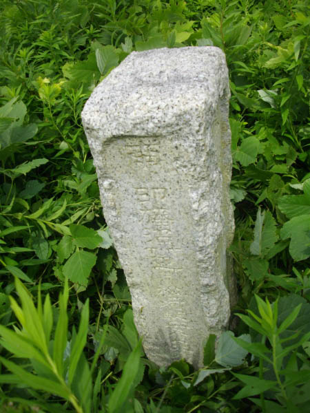 image0006