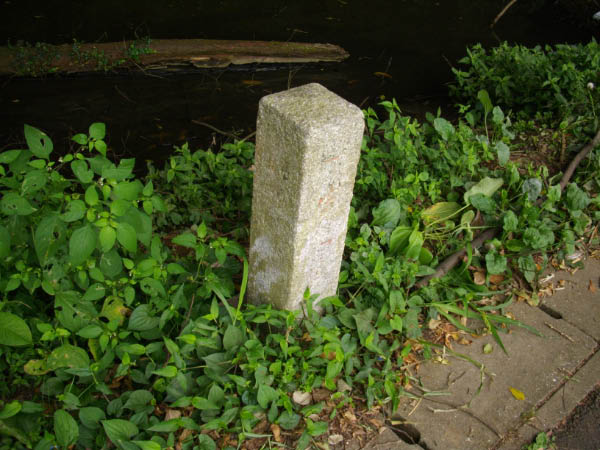 image0013