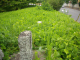 image0004