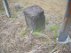 image0015