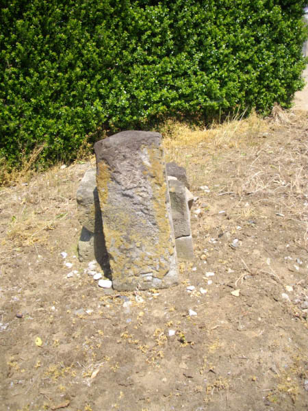 image0054