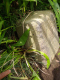 image0001