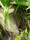image0002