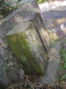 image0014