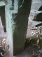 image0008