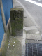 image0015
