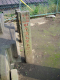 image0002
