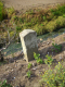 image0015