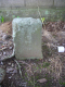 image0008