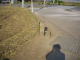 image0017