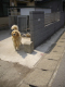 image0001