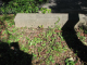 image0015