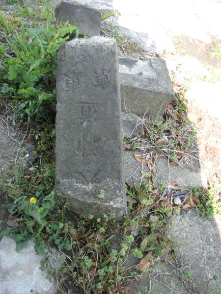 image0007