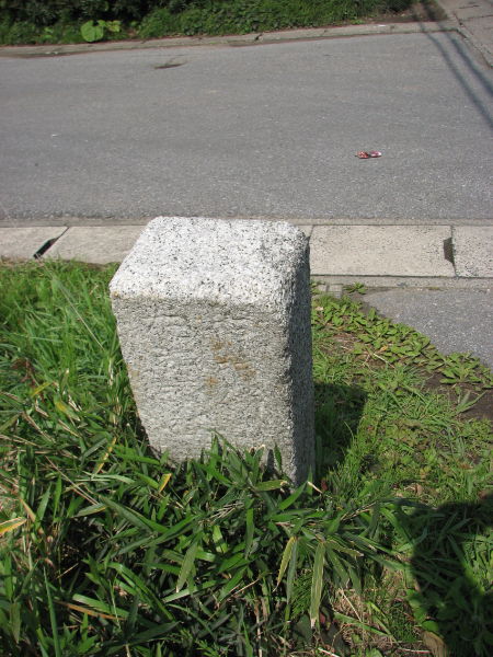 image0009