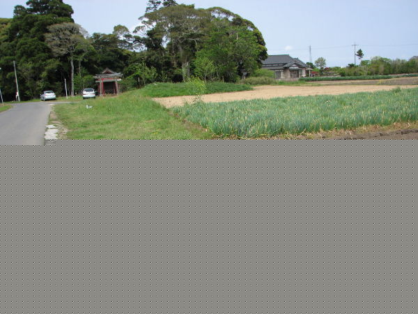 image0019