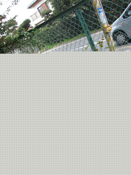 image0034