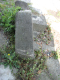 image0007