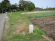 image0019