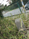 image0034