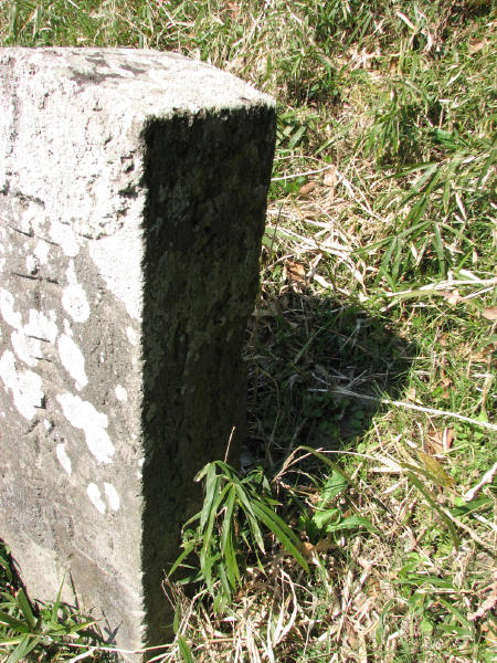 image0008