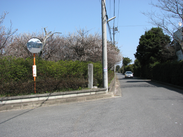 image0034