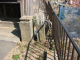 image0000