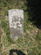 image0006