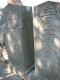 image0011