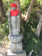 image0024