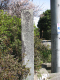 image0036