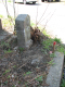 image0039