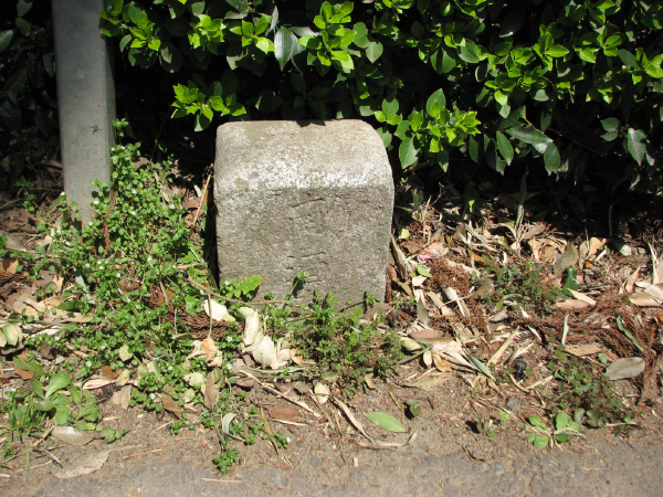 image0003
