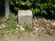 image0003