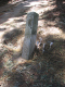 image0005