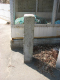 image0009