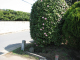 image0012