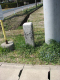 image0025