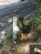 image0027