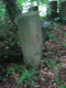 image0006