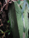 image0012