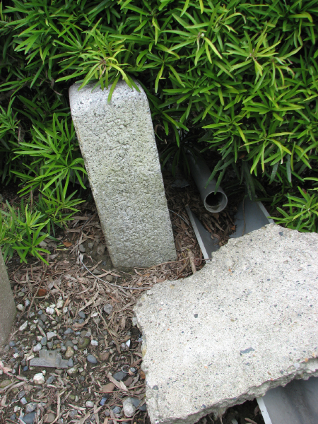 image0017