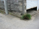 image0012