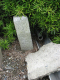 image0017