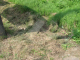 image0002