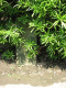 image0015