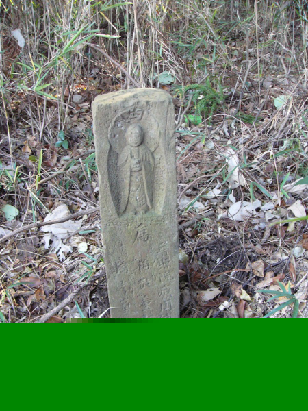 image0015